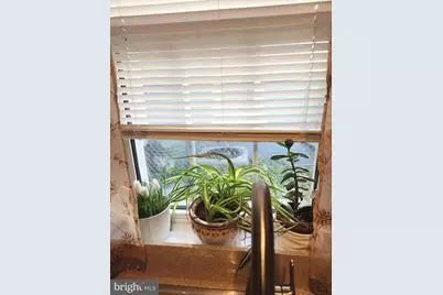 776 Lamont Street NW, Washington, DC 20010 - Photo 15