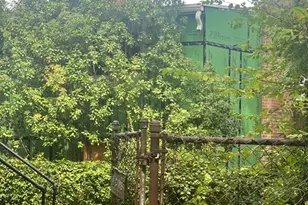 3005 Nelson Pl SE, Washington, DC 20019 - Photo 7