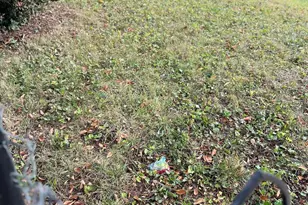 5214 Blaine St NE, Washington, DC 20019 - Photo 39