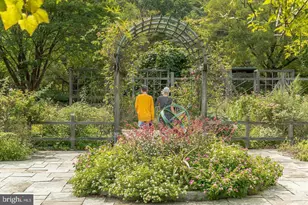 3637 Jamison St NE, Washington, DC 20018 - Photo 43