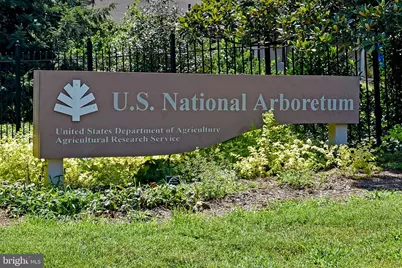 1016 17th Place NE #103, Washington, DC 20002 - Photo 21