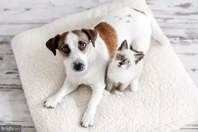 3334 10th Place SE, Washington, DC 20032 - Photo 39