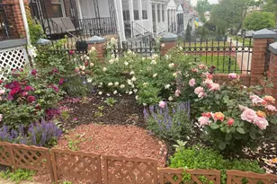 4900 1st St NW, Washington, DC 20011 - Photo 29