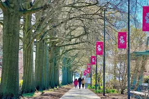 429 N St SW, Washington, DC 20024 - Photo 35