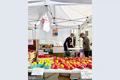 5321 Macarthur Boulevard NW, Washington, DC 20016 - Photo 17