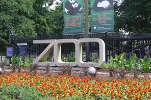 2901 Newark St NW, Washington, DC 20008 - Photo 51