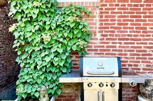 309 Elm St NW, Washington, DC 20001 - Photo 13