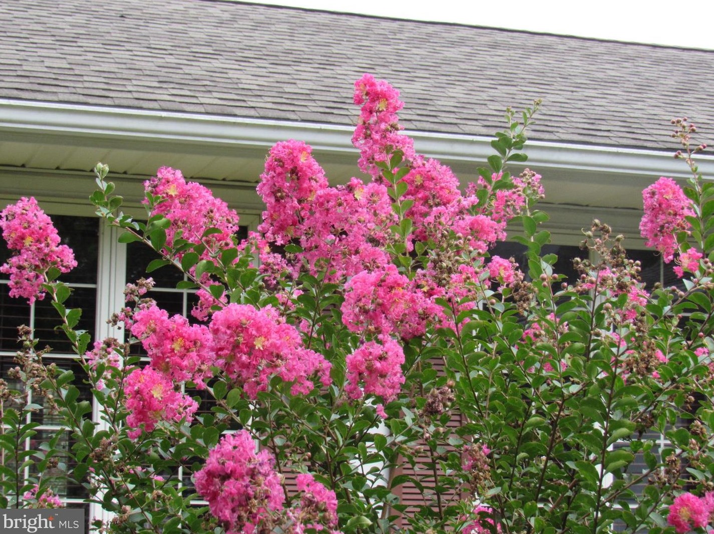 12007 Laurel Rd, Laurel DE  19956-3538 exterior