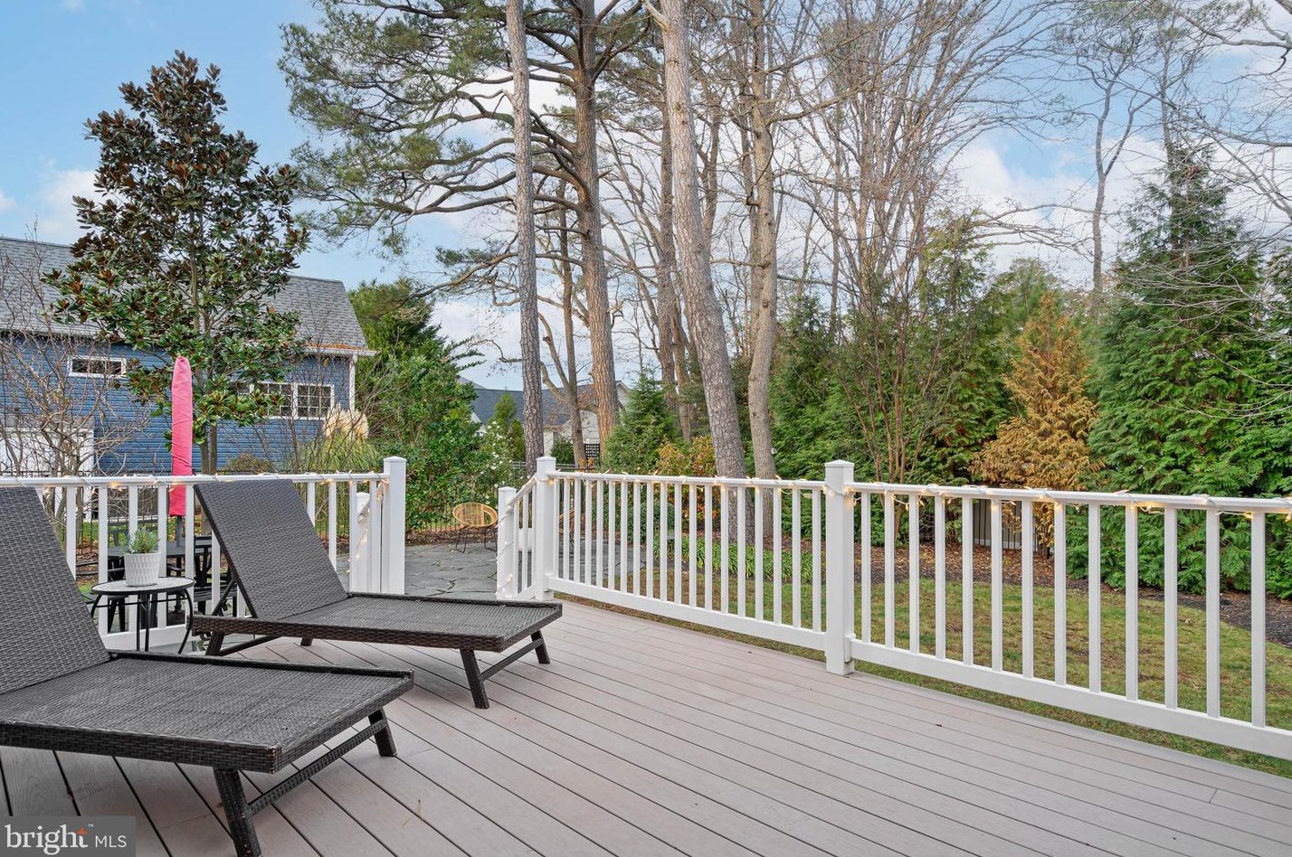 113 Buckingham Dr, Rehoboth DE 19971-1463 exterior