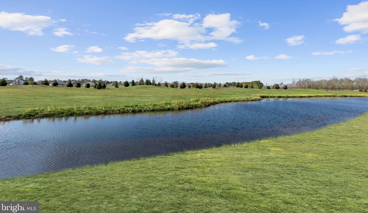 20182 Whitaker Way, Millsboro DE  19966-7555 exterior