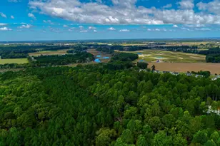 29247 White Pine Ln, Milton, DE 19968 - Photo 73