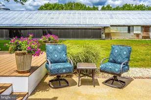 8807 Woodland Ferry Rd, Laurel, DE 19956 - Photo 67