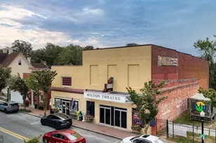 406 Boxwood St, Milton, DE 19968 - Photo 47