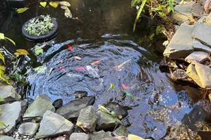 106 Florida Ave, Milton, DE 19968 - Photo 17