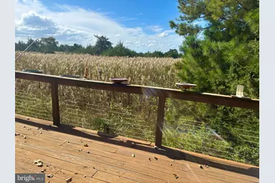 106 Florida Avenue, Milton, DE 19968 - Photo 47