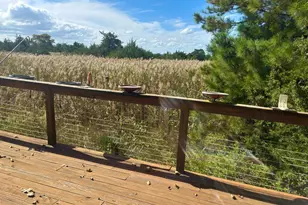 106 Florida Ave, Milton, DE 19968 - Photo 47