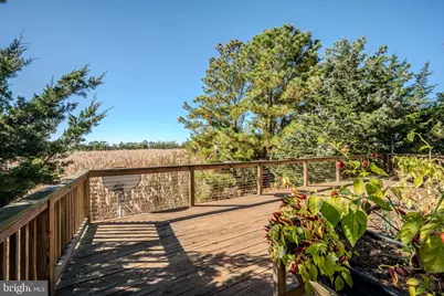 106 Florida Avenue, Milton, DE 19968 - Photo 45