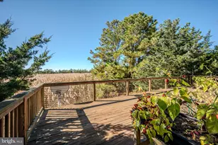 106 Florida Ave, Milton, DE 19968 - Photo 45