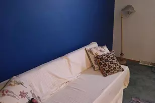 22 E Greenwing Dr, Milton, DE 19968 - Photo 9