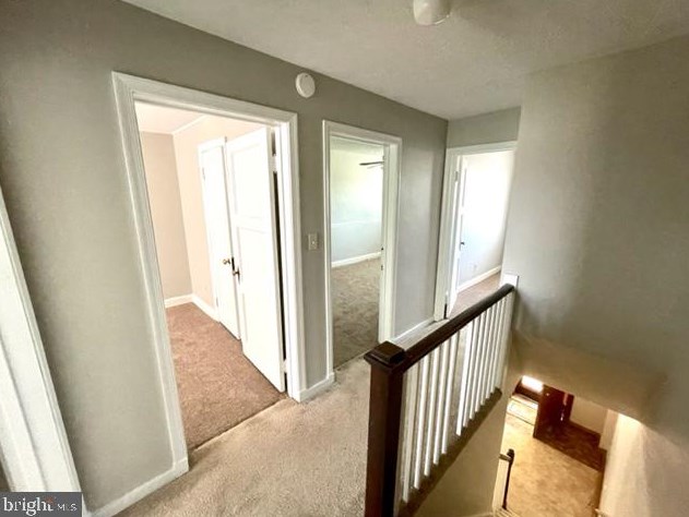 326 Arundel Rd, Baltimore MD  21225-2625 exterior