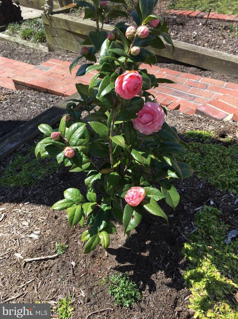 1573 Eton Way, Crofton MD  21114-1524 exterior