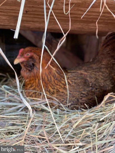 1825 Cedar Dr, Severn MD  21144-1005 exterior