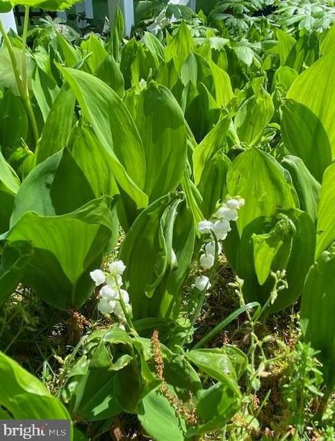 1825 Cedar Dr, Severn MD  21144-1005 exterior