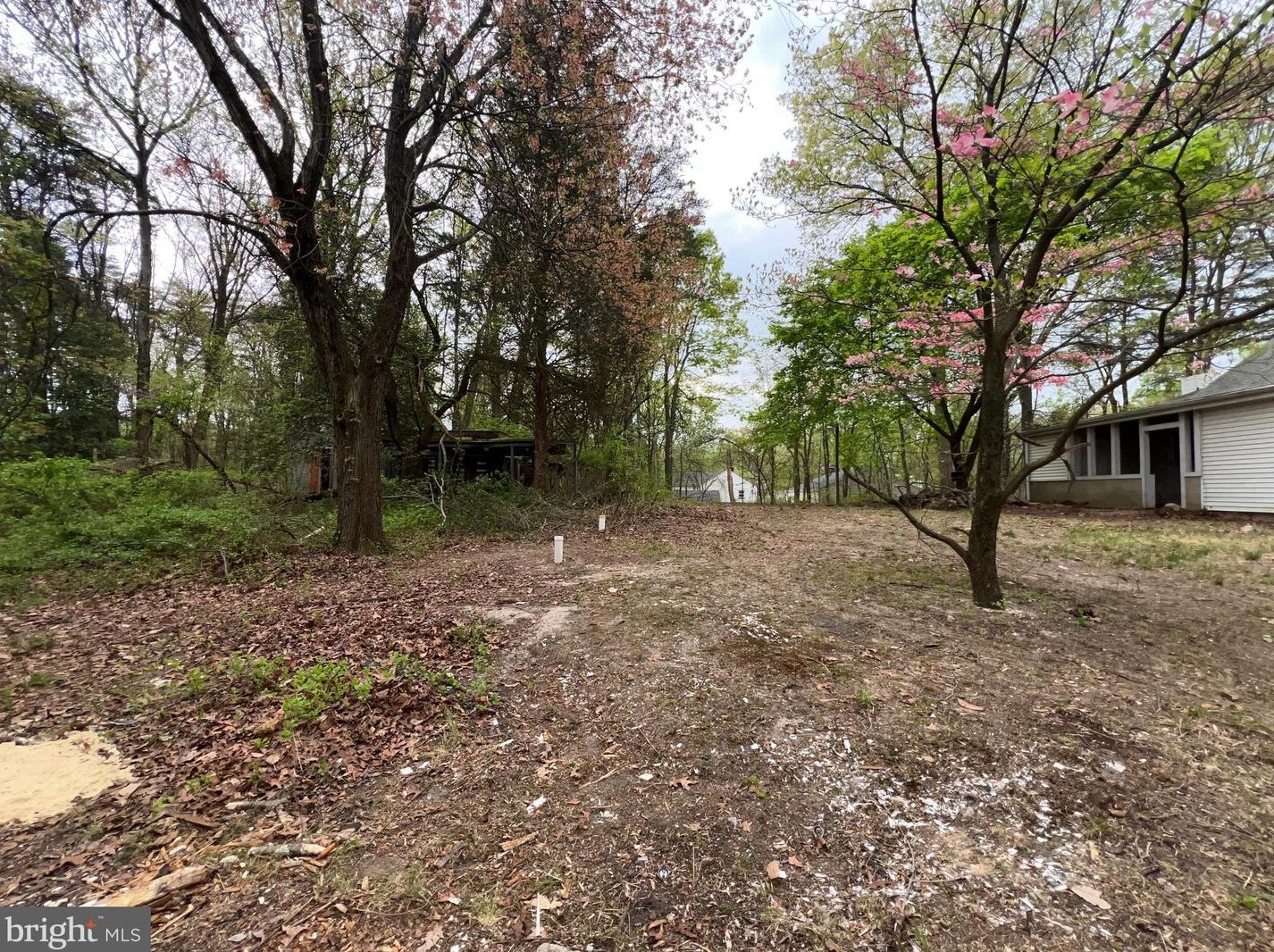 1834 Cedar Dr, Severn MD 21144-1004 exterior