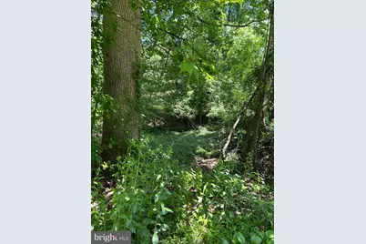 Elm Trail, Crownsville, MD 21032 - Photo 3