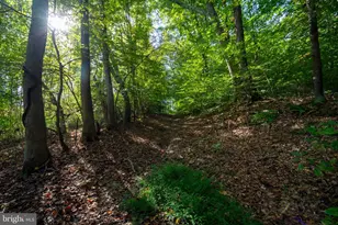 5292 Moreland Rd, Lothian, MD 20711 - Photo 43