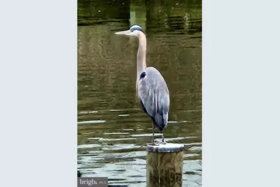 34 Johnson Road, Pasadena, MD 21122 - Photo 43