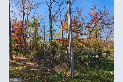 1217 Cross, Annapolis, MD 21403 - Photo 7