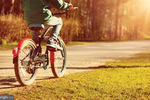 1616 Arrowwood Ln, Laurel, MD 20724 - Photo 43