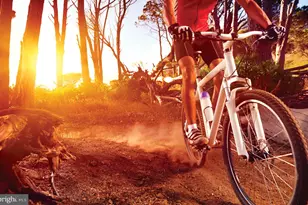 1168 Crested Wood Dr, Laurel, MD 20724 - Photo 33