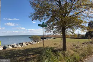 1213 Oak Ave, Shady Side, MD 20764 - Photo 19