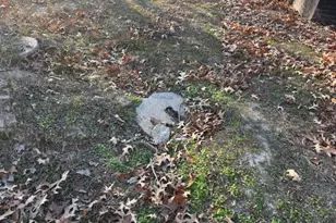 1451 Shady Rst Rd, Shady Side, MD 20764 - Photo 5