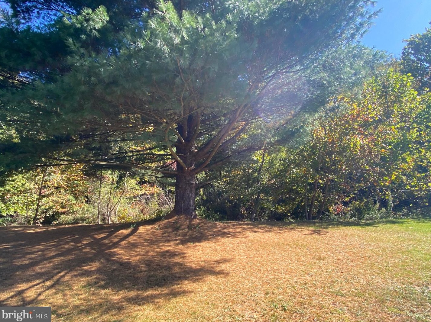 15516 Lower Georges Creek Rd, Lonaconing MD 21539-1225 exterior