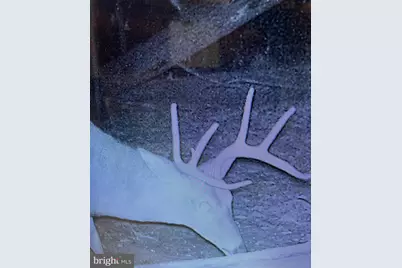 12401 Amherst Avenue NE, Cumberland, MD 21502 - Photo 19