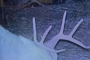 12401 Amherst Ave NE, Cumberland, MD 21502 - Photo 19