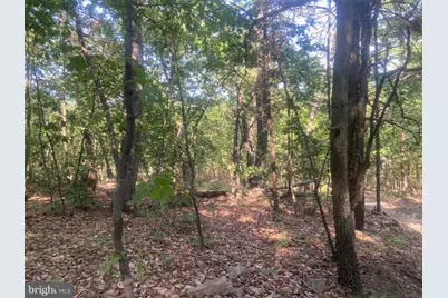 12401 Amherst Avenue NE, Cumberland, MD 21502 - Photo 89