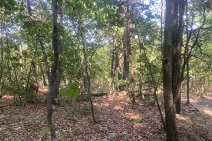 12401 Amherst Ave NE, Cumberland, MD 21502 - Photo 89