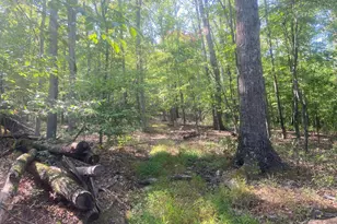 12401 Amherst Ave NE, Cumberland, MD 21502 - Photo 99