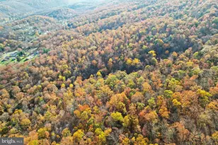 12401 Amherst Ave NE, Cumberland, MD 21502 - Photo 15