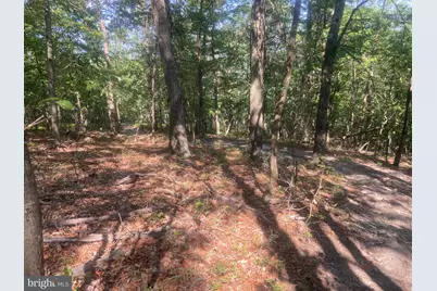 12401 Amherst Avenue NE, Cumberland, MD 21502 - Photo 91