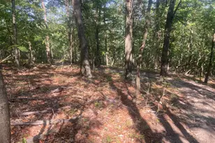 12401 Amherst Ave NE, Cumberland, MD 21502 - Photo 91