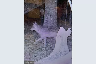 12401 Amherst Avenue NE, Cumberland, MD 21502 - Photo 21