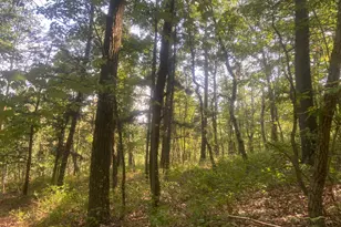 12401 Amherst Ave NE, Cumberland, MD 21502 - Photo 95