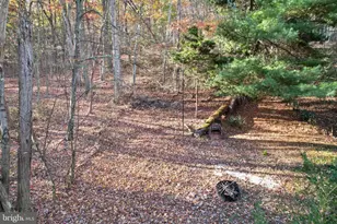 12401 Amherst Ave NE, Cumberland, MD 21502 - Photo 27