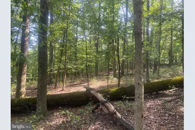 12401 Amherst Avenue NE, Cumberland, MD 21502 - Photo 97