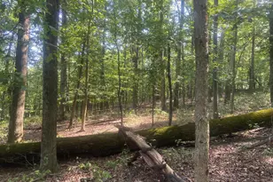 12401 Amherst Ave NE, Cumberland, MD 21502 - Photo 97